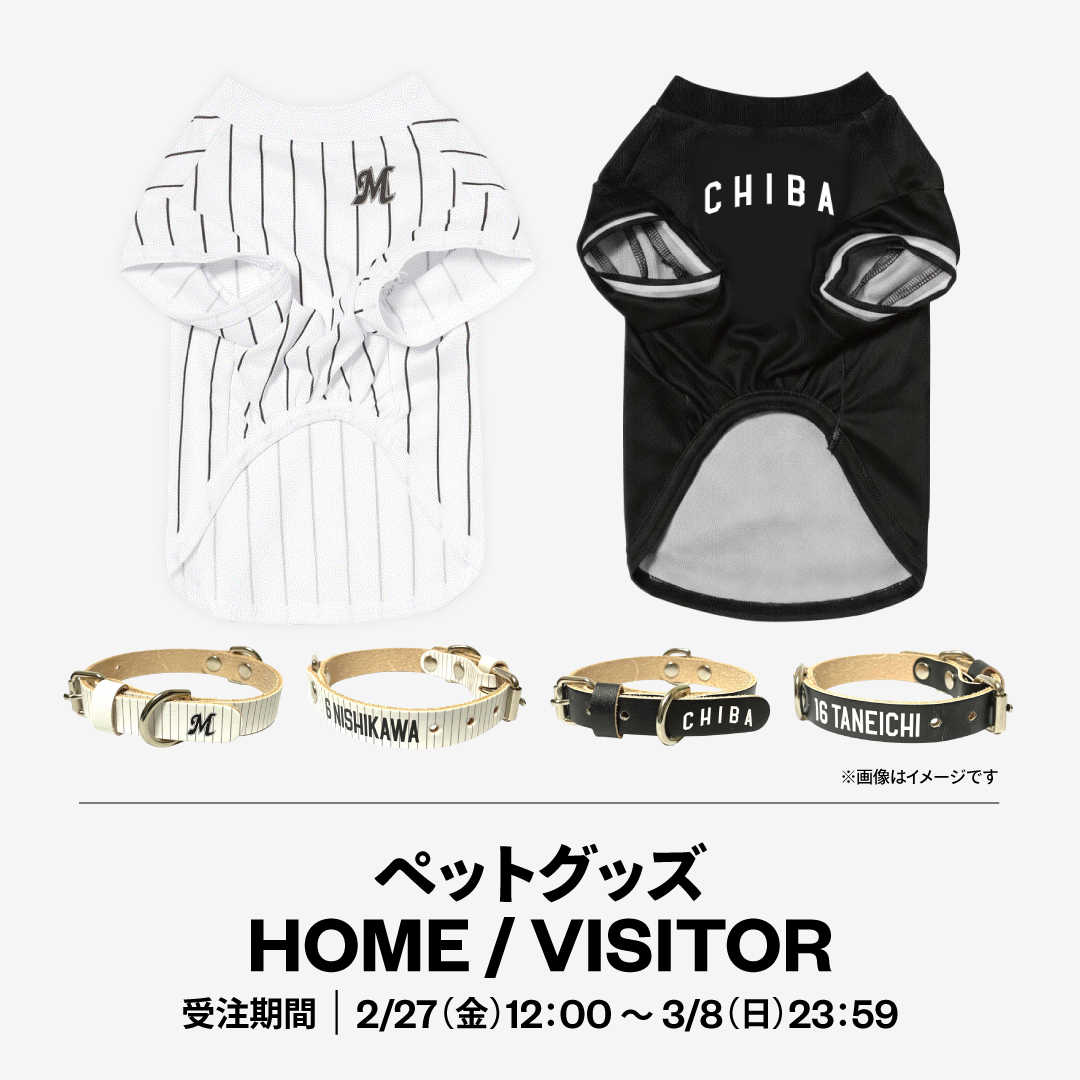 ペットグッズHOME / VISITOR