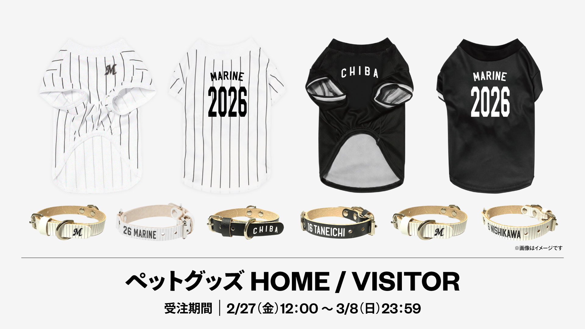 ペットグッズHOME / VISITOR