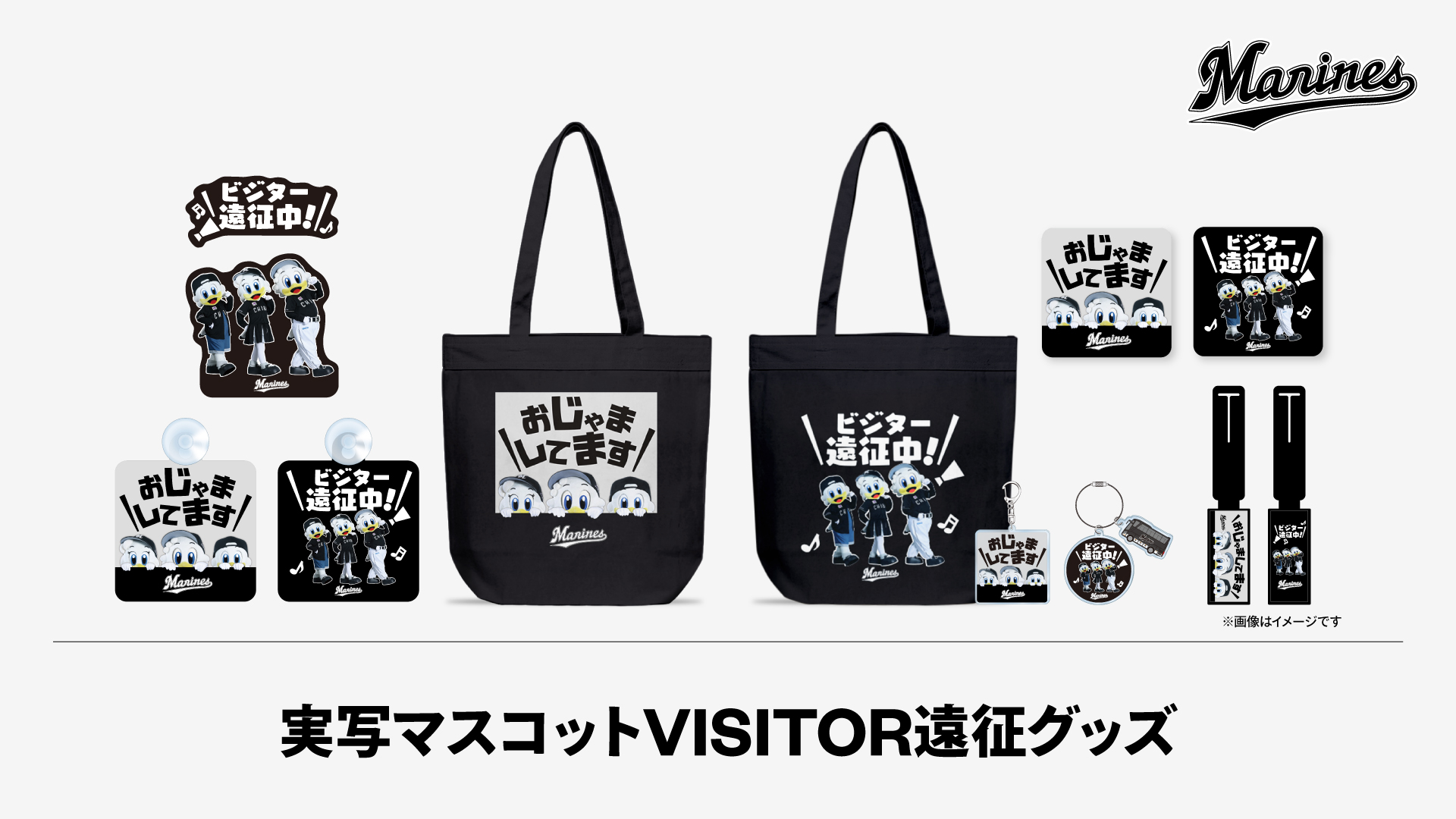実写マスコットVISITOR遠征グッズ