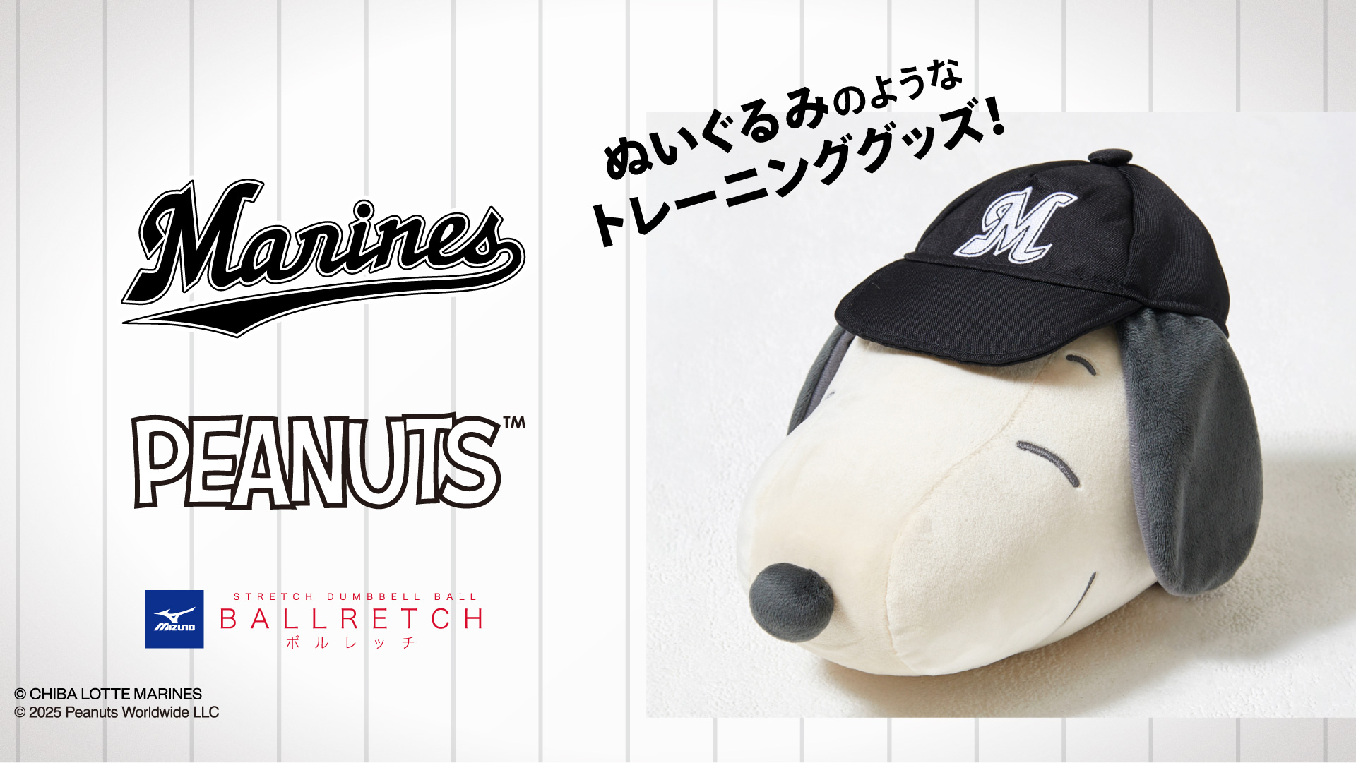 MARINES PEANUTS ボルレッチ