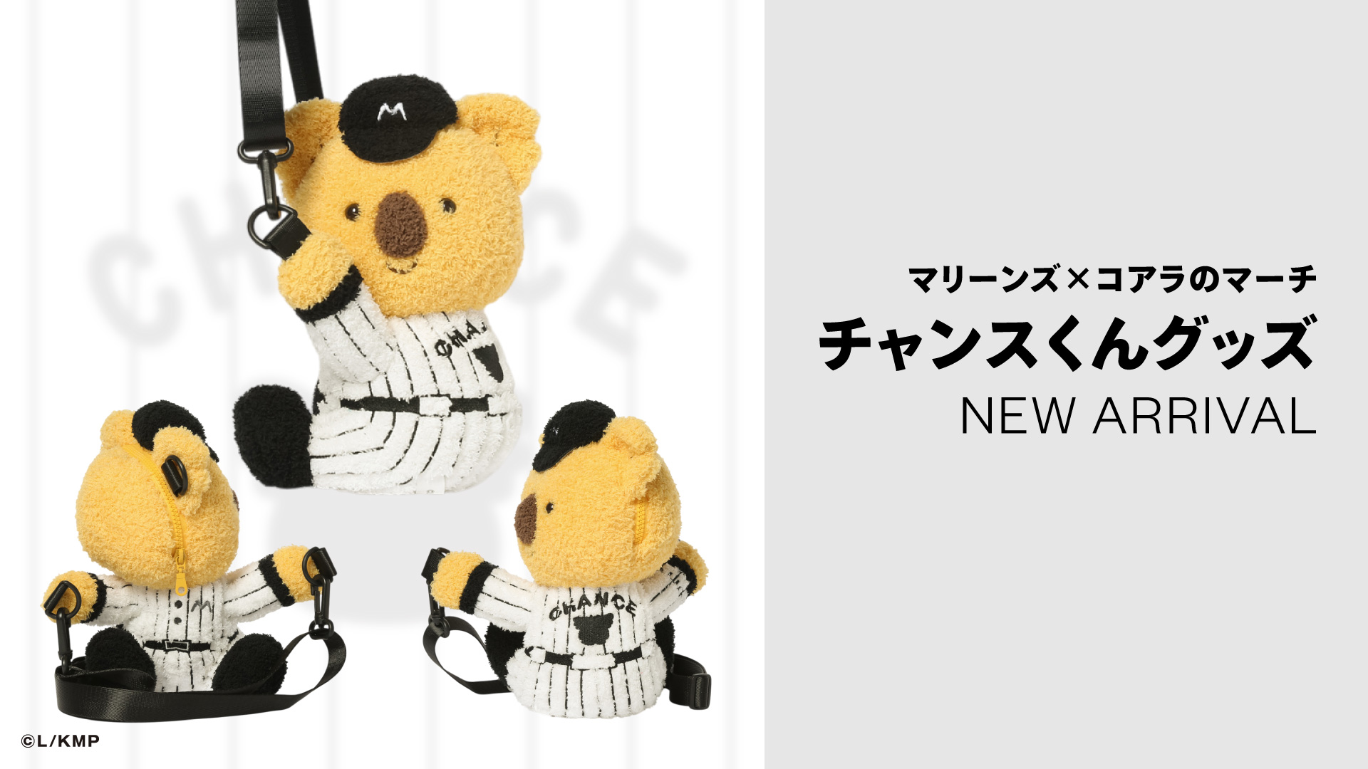 チャンスくんグッズ NEW ITEM