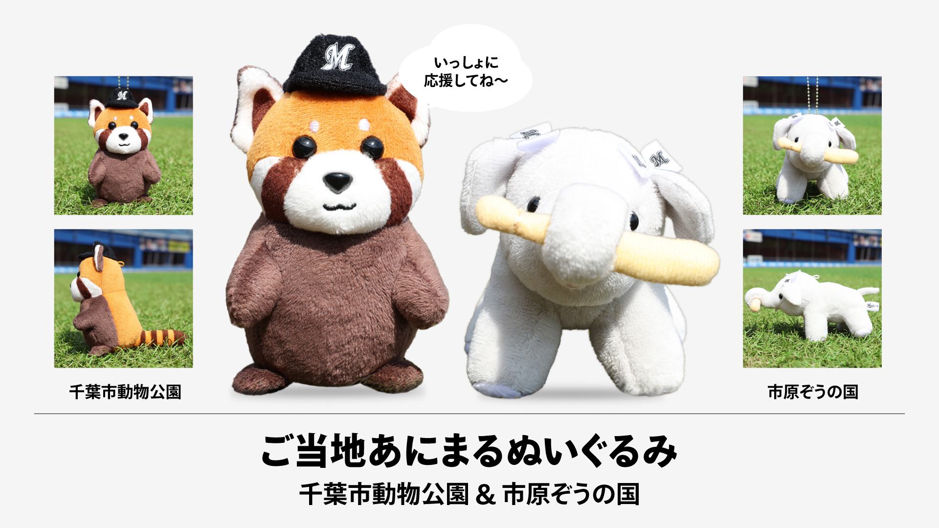 ご当地あにまるぬいぐるみ