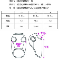 ドッグシャツ（ボーダーパーカー） 詳細画像