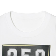 益田直也投手 通算250セーブ記念 Tシャツ(メインビジュアル) 詳細画像