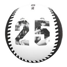 益田直也投手 通算250セーブ記念 ピクチャーボール(歴代ビジュアル) 詳細画像
