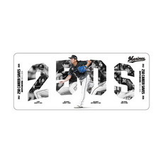 益田直也投手 通算250セーブ記念 カーマグネット(歴代ビジュアル)