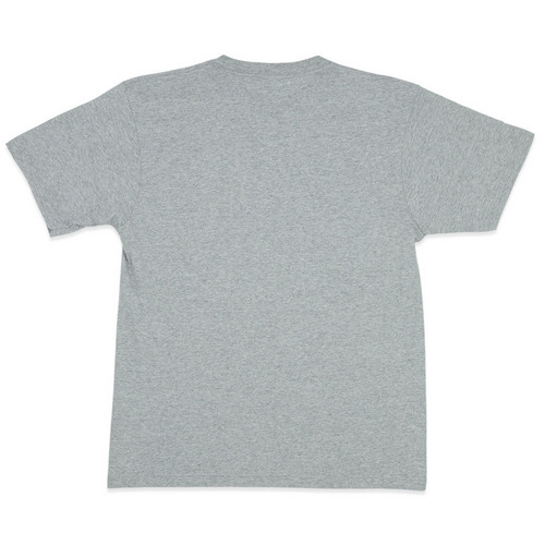 NCE2025 Tシャツ(The original gray) 詳細画像 グレー 2