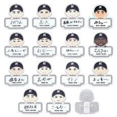 15種展開 ニックネーム2025選手イラスト シークレット キラキラお名前バッジ