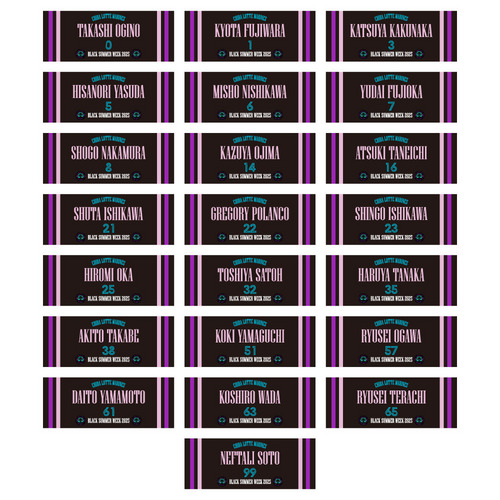 選手フェイスタオル2025　BSW 詳細画像 #99ネフタリ・ソト 2