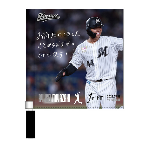 宮崎竜成選手 プロ入り初ヒット記念ミニフラッグ(直筆メッセージ) 詳細画像 1カラー 1