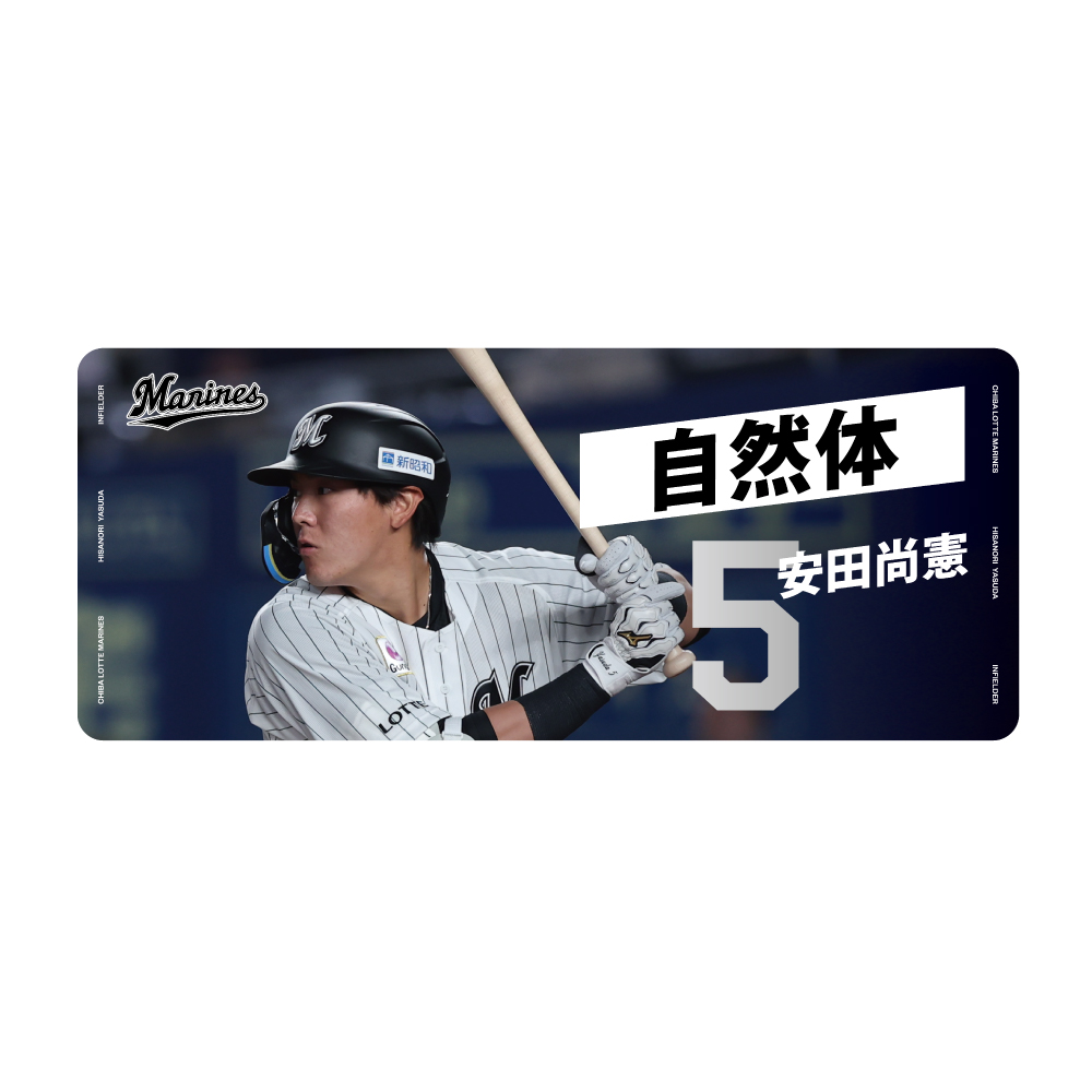 千葉ロッテマリーンズ　美馬学選手　実使用ユニフォーム　プロコレ　支給品 現千葉ロッテマリーンズ 美馬学選手 実使用ユニフォーム ネオ