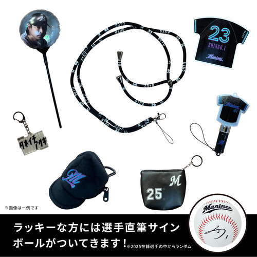 シークレットグッズ お楽しみ袋 詳細画像 1カラー 1