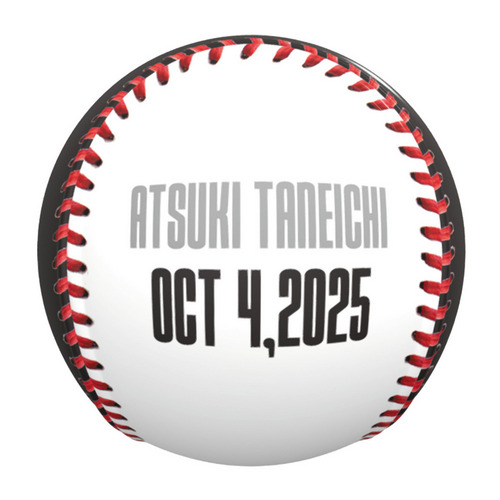 2025ベストシーン ピクチャーボール(10.4#16種市) 詳細画像 1カラー 5