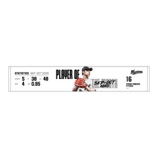 種市篤暉投手 9・10月度大樹生命月間MVP賞受賞記念 マフラータオル