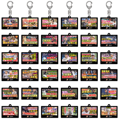 パ・リーグTV×マリーンズコラボ　シークレットアクリルキーホルダー 詳細画像 1カラー 1