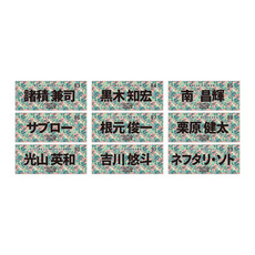 全選手展開選手フェイスタオル 2026春季キャンプデザイン 詳細画像