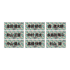 全選手展開選手フェイスタオル 2026春季キャンプデザイン 詳細画像