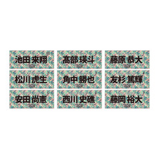全選手展開選手フェイスタオル 2026春季キャンプデザイン 詳細画像