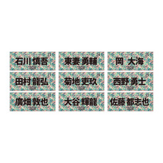 全選手展開選手フェイスタオル 2026春季キャンプデザイン 詳細画像