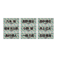 全選手展開選手フェイスタオル 2026春季キャンプデザイン 詳細画像