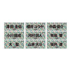 全選手展開選手フェイスタオル 2026春季キャンプデザイン 詳細画像