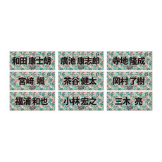 全選手展開選手フェイスタオル 2026春季キャンプデザイン 詳細画像