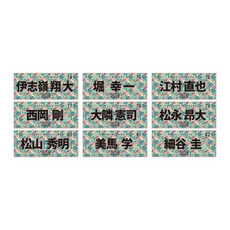 全選手展開選手フェイスタオル 2026春季キャンプデザイン 詳細画像