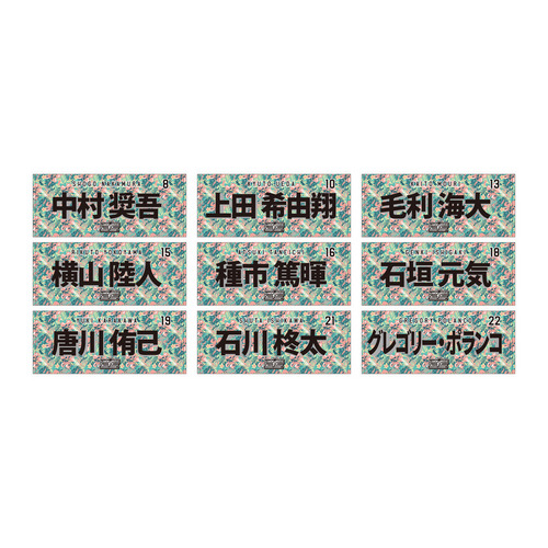 全選手展開選手フェイスタオル 2026春季キャンプデザイン 詳細画像 1カラー 3