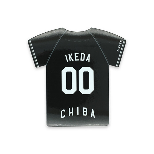 全選手展開 ユニホーム型カーマグネット(ビジター) 詳細画像 1カラー 1