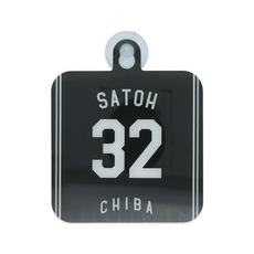 全選手展開 カーサイン(ビジター)