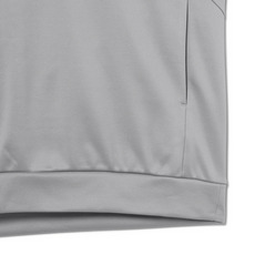 ミズノレプリカ 半袖スウェットパーカー 詳細画像