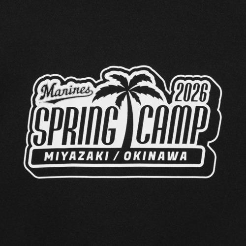 2026春季キャンプ ドライロゴTシャツ 詳細画像 ホワイト 6