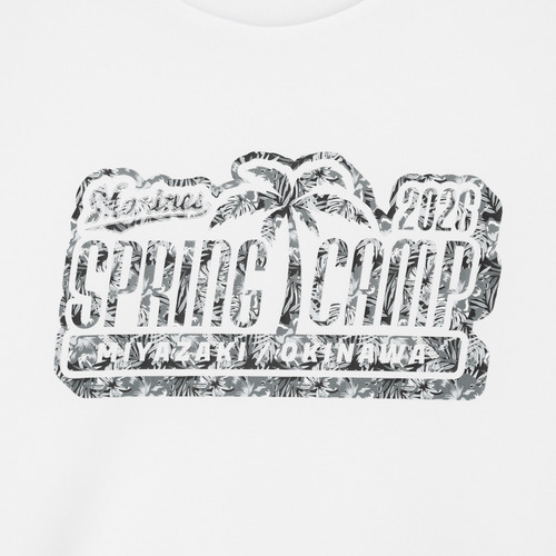 2026春季キャンプ ドライロゴパターンTシャツ 詳細画像 ホワイト 12