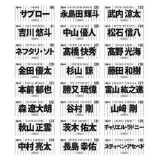 2026年選手フェイスタオル　ホーム 詳細画像