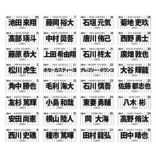 2026年選手フェイスタオル　ホーム