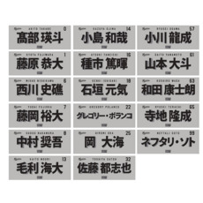 2026年選手フェイスタオル　ALT 詳細画像