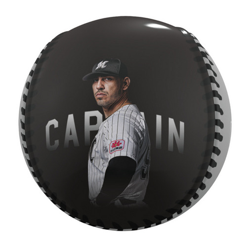 CAPTAIN SOTO ピクチャーボール 詳細画像 1カラー 2