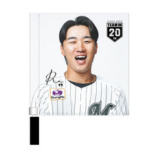 TEAM26選手ビジュアル ミニフラッグ