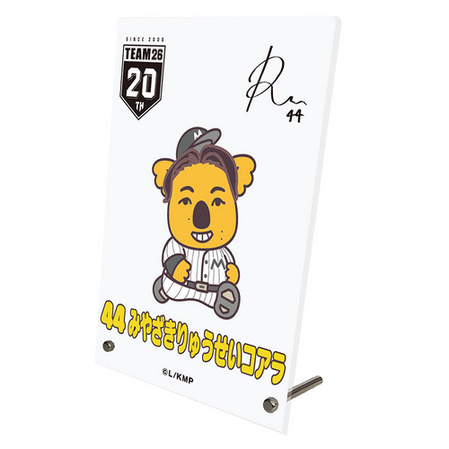 TEAM26選手コアラビジュアル アクリルパネル 詳細画像 受注パターン 1
