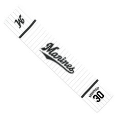 TEAM26 DAY 5月来場OB2選手展開 マフラータオル(ホーム) 詳細画像