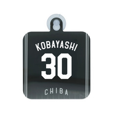 TEAM26 DAY 5月来場OB2選手展開 カーサイン(ビジター) 詳細画像