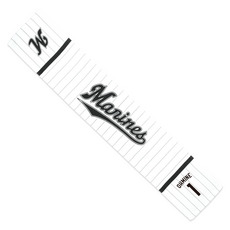 TEAM26 DAY 6月来場OB5選手展開 マフラータオル(ホーム) 詳細画像