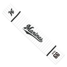 TEAM26 DAY 6月来場OB5選手展開 マフラータオル(ホーム) 詳細画像