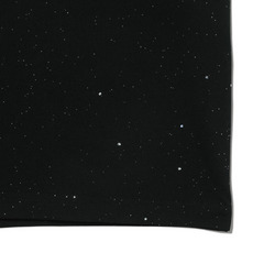 BSWラメTシャツ 詳細画像