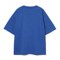 BSWラメTシャツ 詳細画像