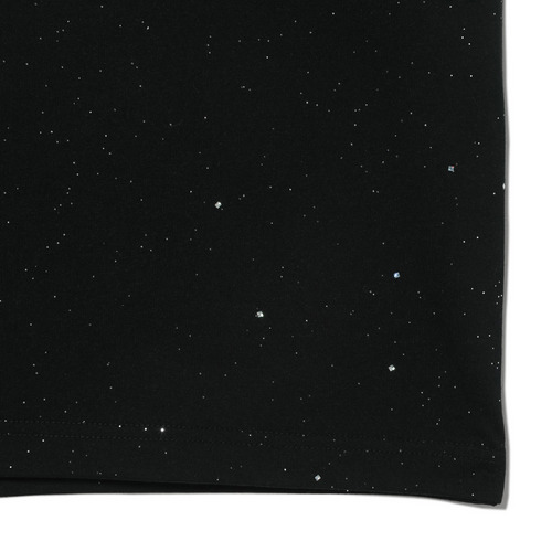 BSWラメTシャツ 詳細画像 ブラック 5