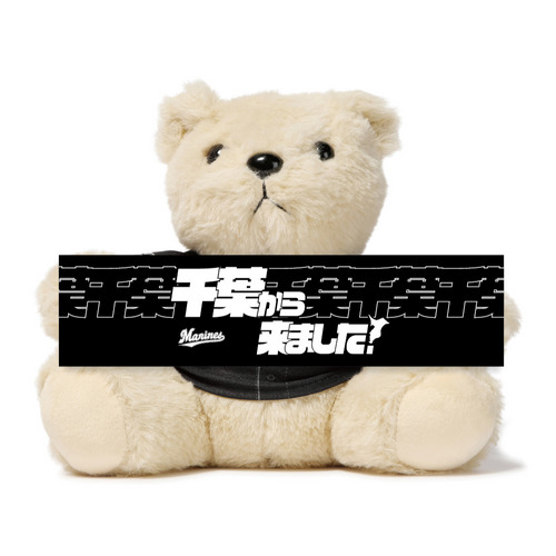 COME FROM ビジタータオルベア(千葉県54市町村) 詳細画像 受注パターン 1