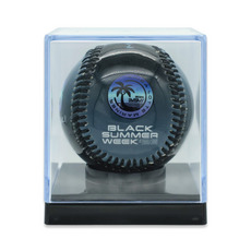 全選手展開 2026ピクチャーボール(BSW)