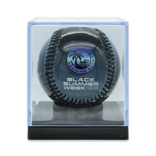 全選手展開 2026ピクチャーボール(BSW) 詳細画像 1カラー 1