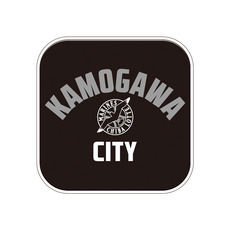 フレンドシップシティ13市展開 CITY ミニタオル